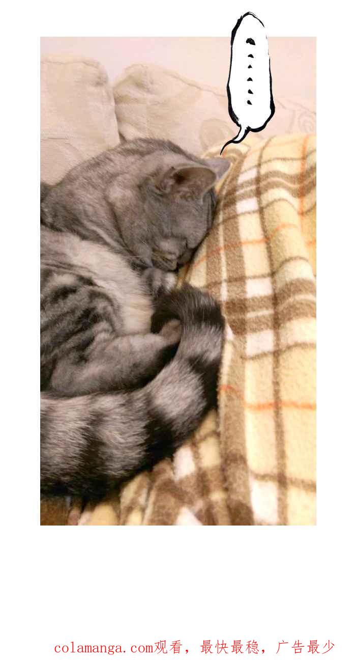 猫剑客 [第111话] 折翼天使 伍拾肆，人体伏魔塔 第40页