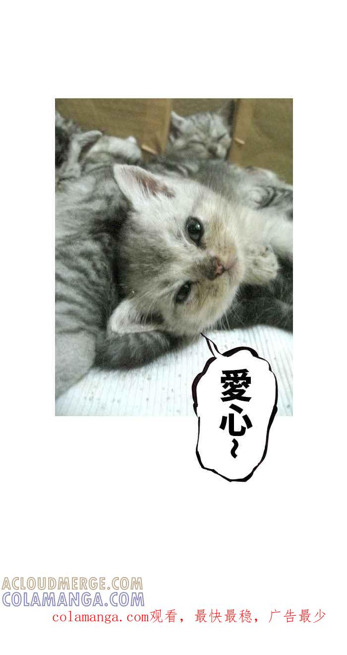 猫剑客 [第112话] 折翼天使 伍拾伍，死斗的终局 第33页