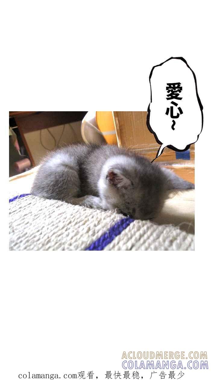 猫剑客 [第113话] 折翼天使 伍拾陆，破天一剑 第41页