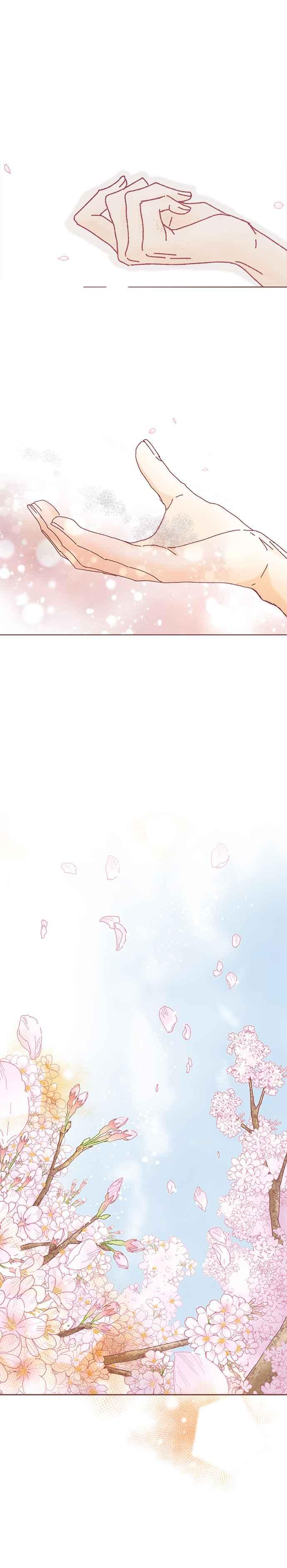 《迟来的初恋》第125话 第2页