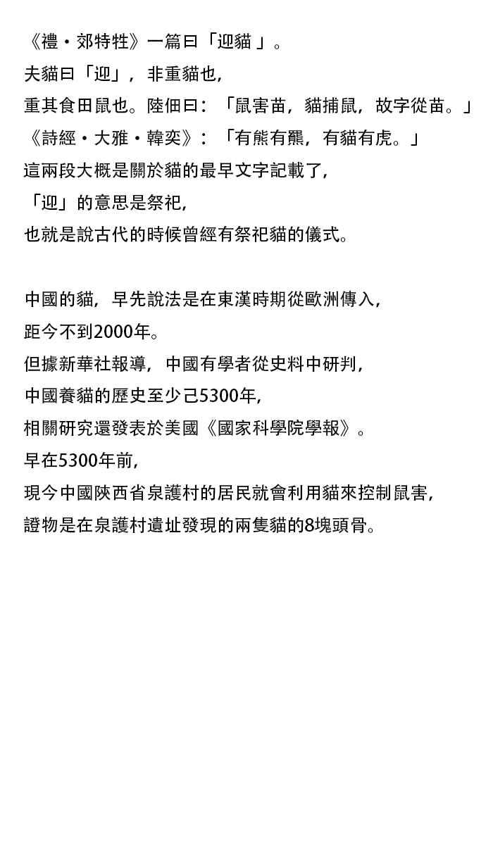 猫剑客 [第114话] 折翼天使 伍拾柒，理智与良知 第47页