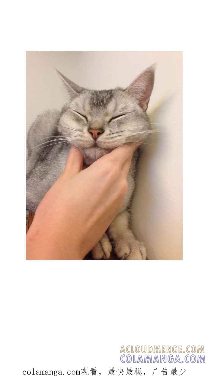 猫剑客 [第115话] 折翼天使 伍拾捌，猫 剑客 第27页