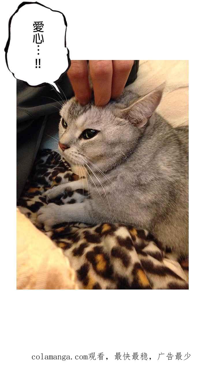 猫剑客 [第118话] 新危机 第38页