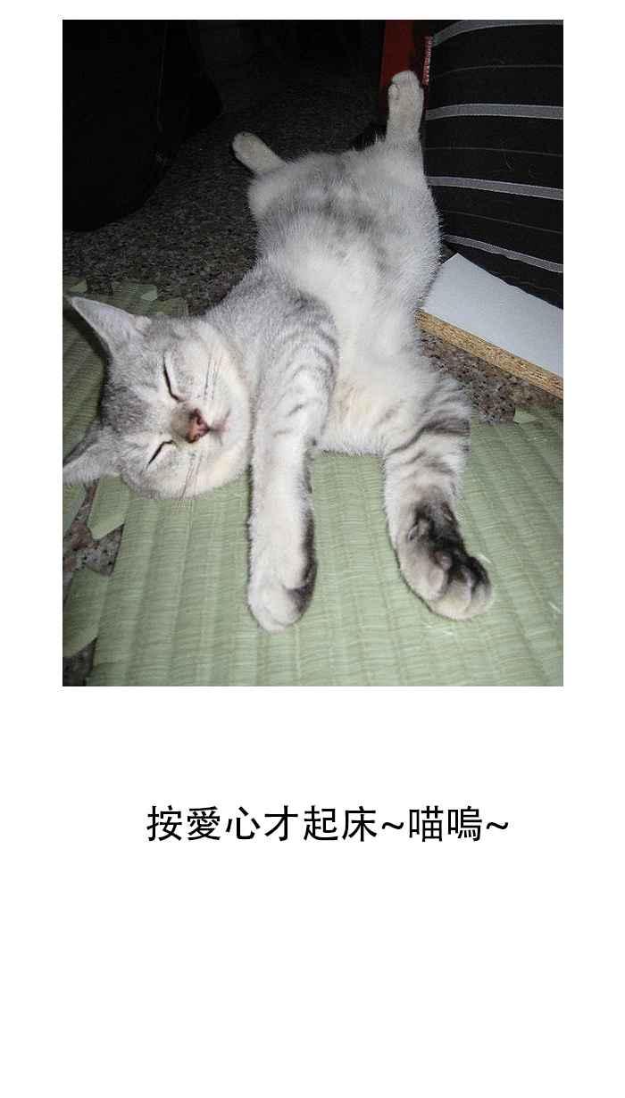 猫剑客 [第120话] 开门之日 第47页