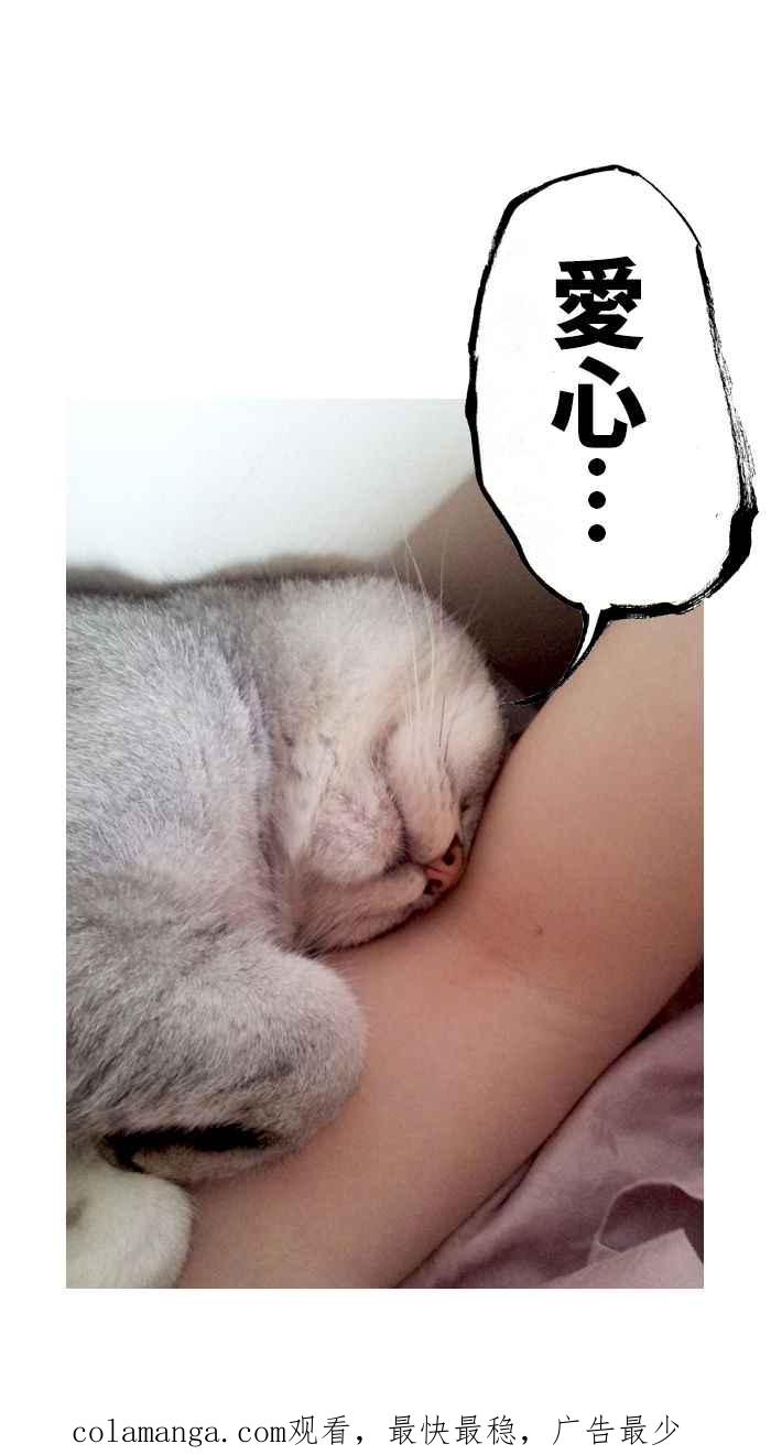猫剑客 [第122话] 致愚昧的你 第42页