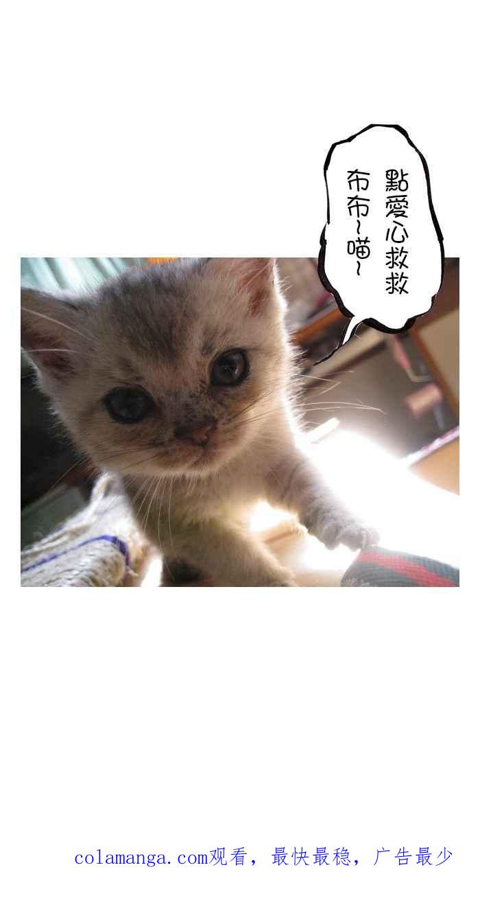 猫剑客 [第128话] 女魃天女 第44页