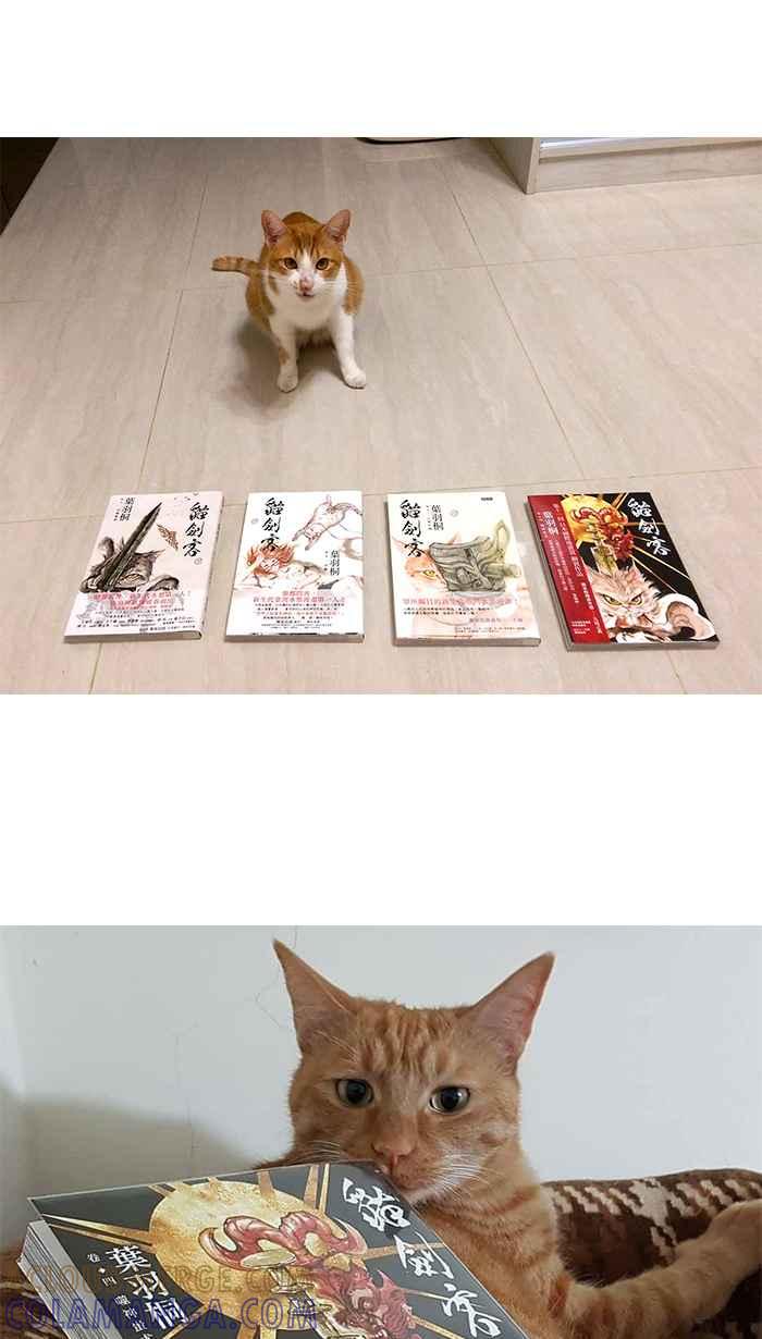 猫剑客 休刊 11 第3页