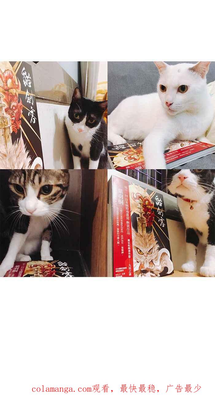 猫剑客 [第134话] 猫神 第38页