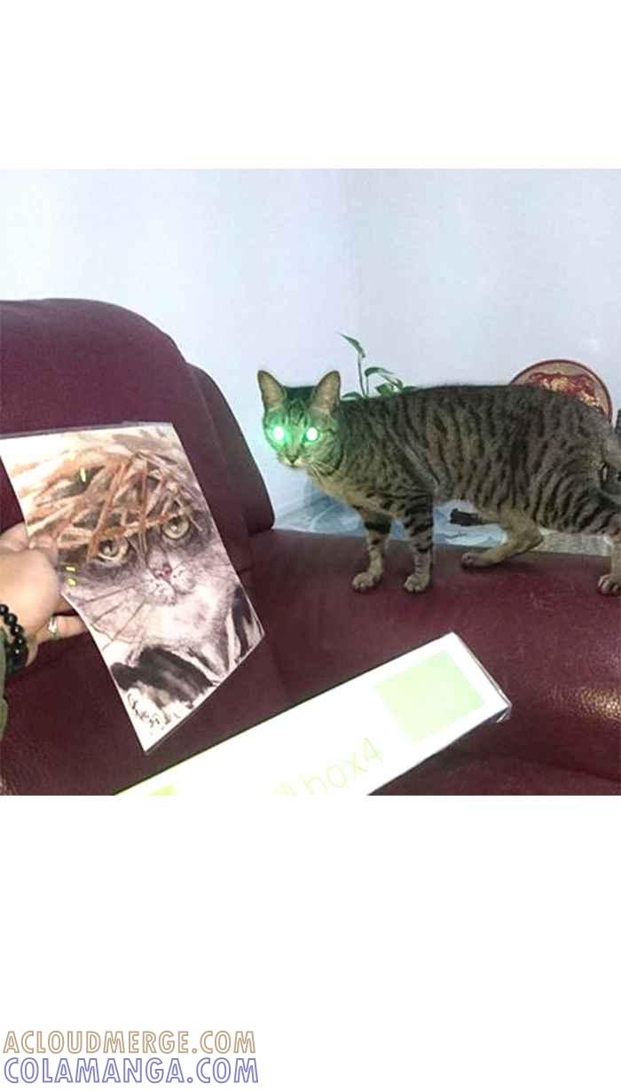 猫剑客 [第135话] 类族 第33页