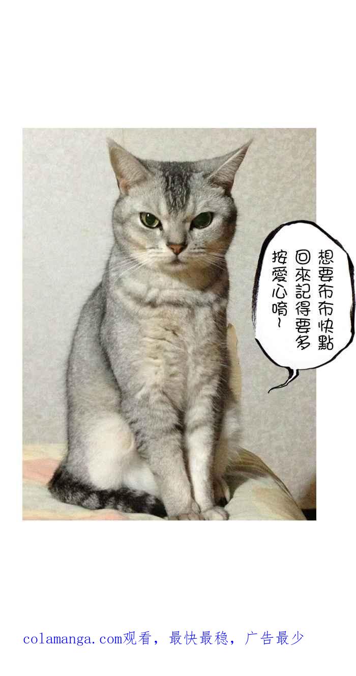 猫剑客 [第135话] 类族 第34页