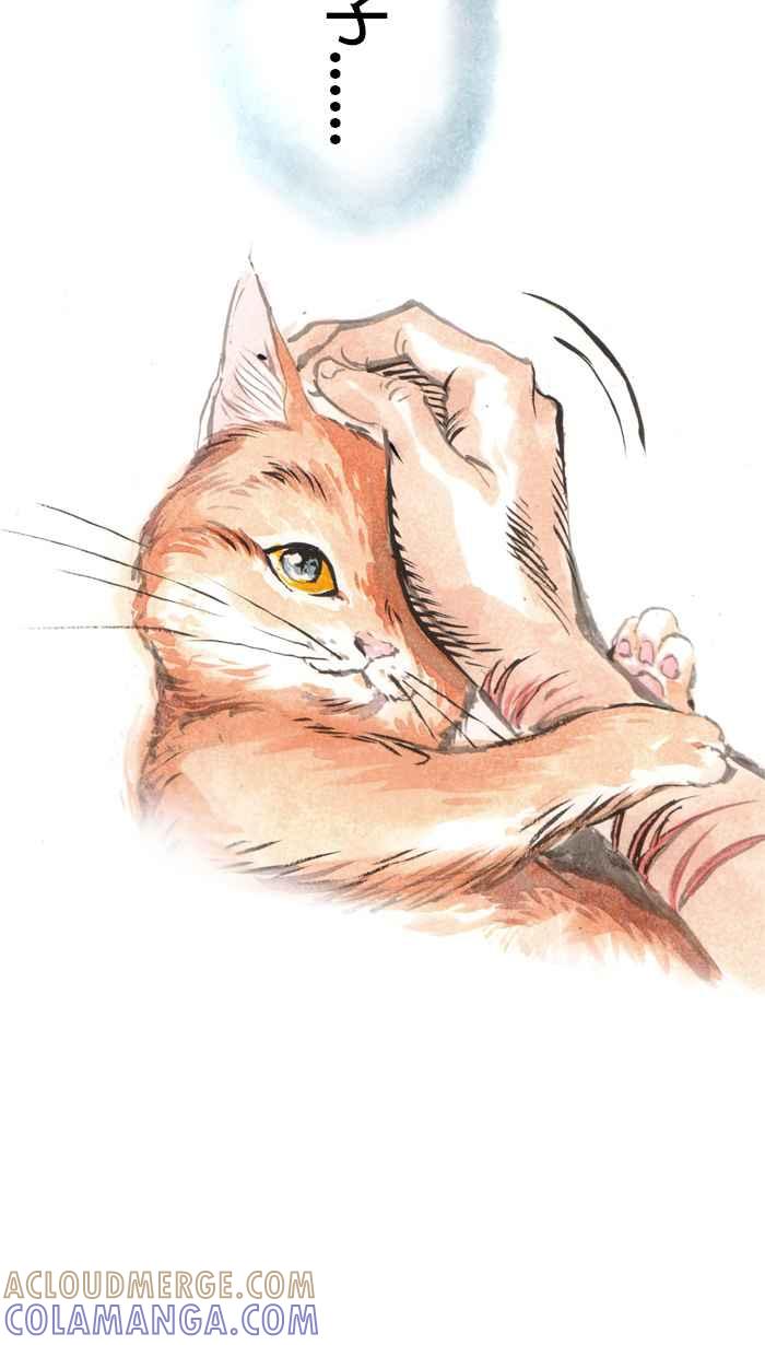 猫剑客 [第135话] 类族 第15页