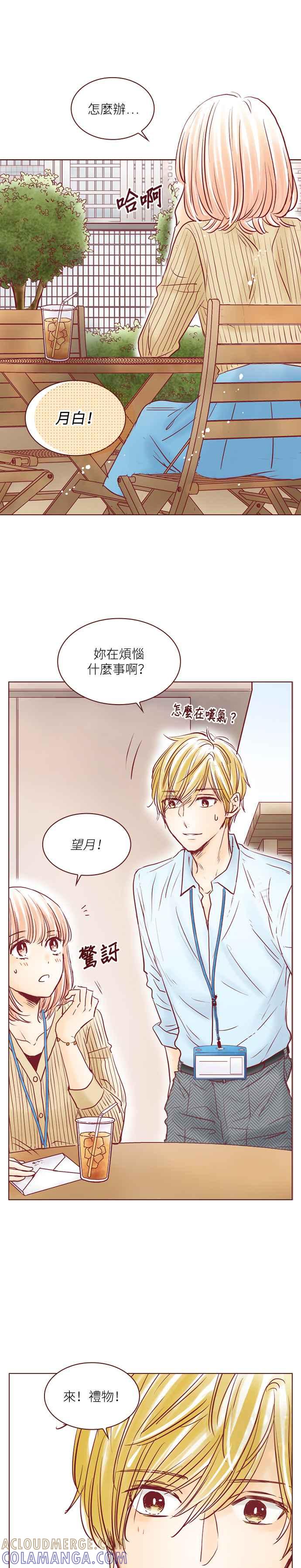 《迟来的初恋》第74话 第13页