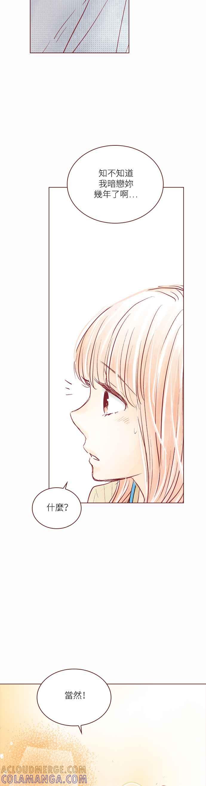 《迟来的初恋》第75话 第17页