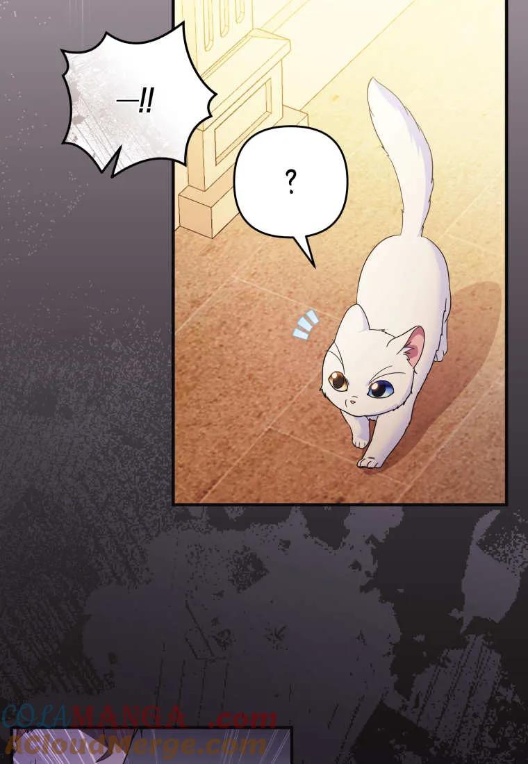 成为苏尔坦珍爱的猫咪 第59话 第4页