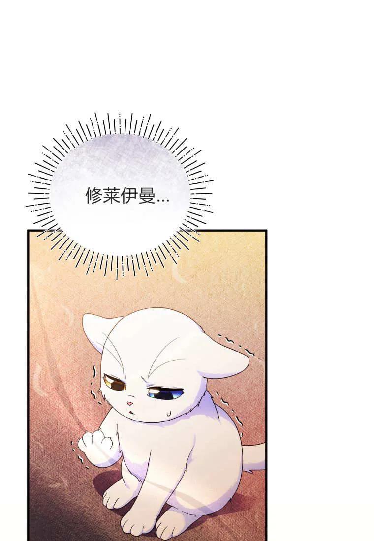 成为苏尔坦珍爱的猫咪 第59话 第2页