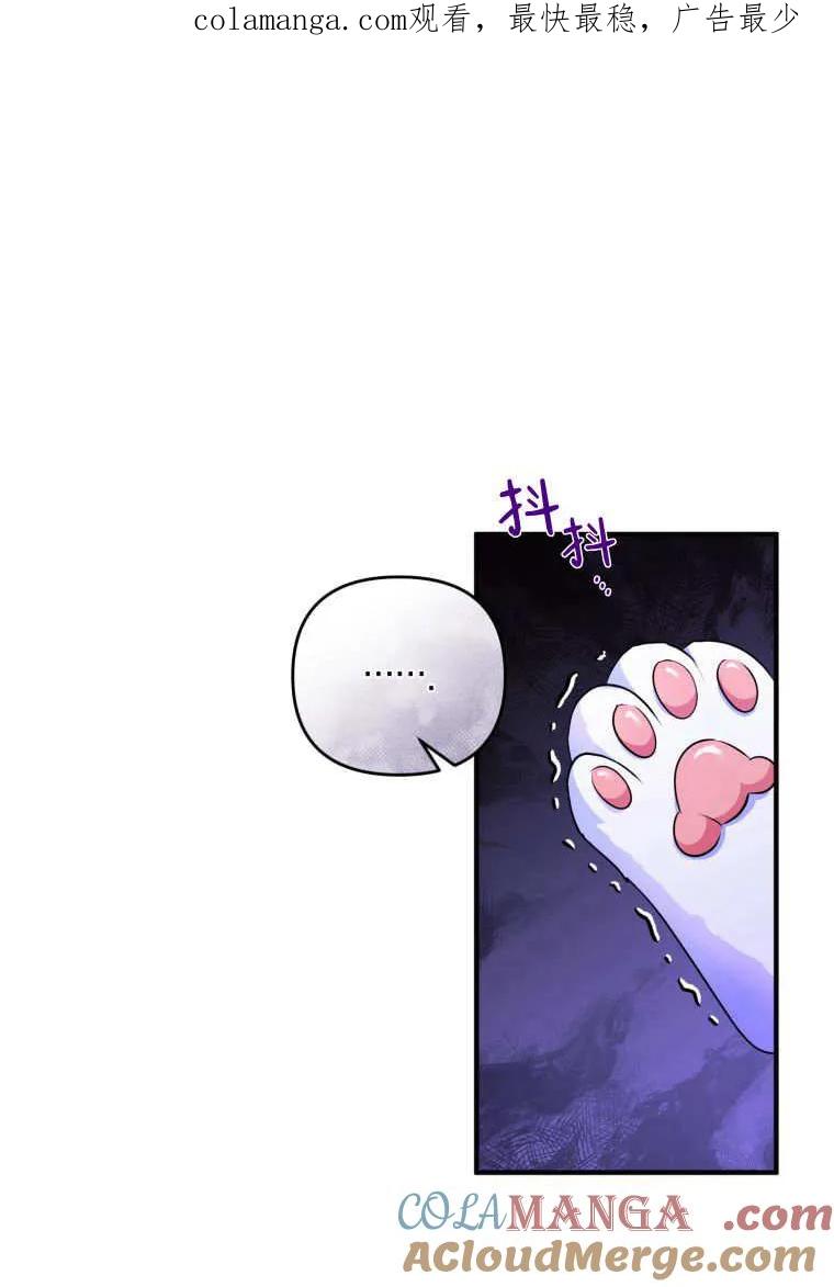 成为苏尔坦珍爱的猫咪 第59话 第1页