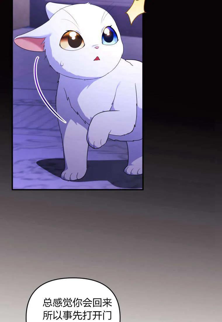 成为苏尔坦珍爱的猫咪 第59话 第20页