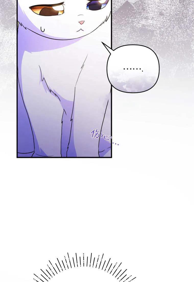 成为苏尔坦珍爱的猫咪 第59话 第14页