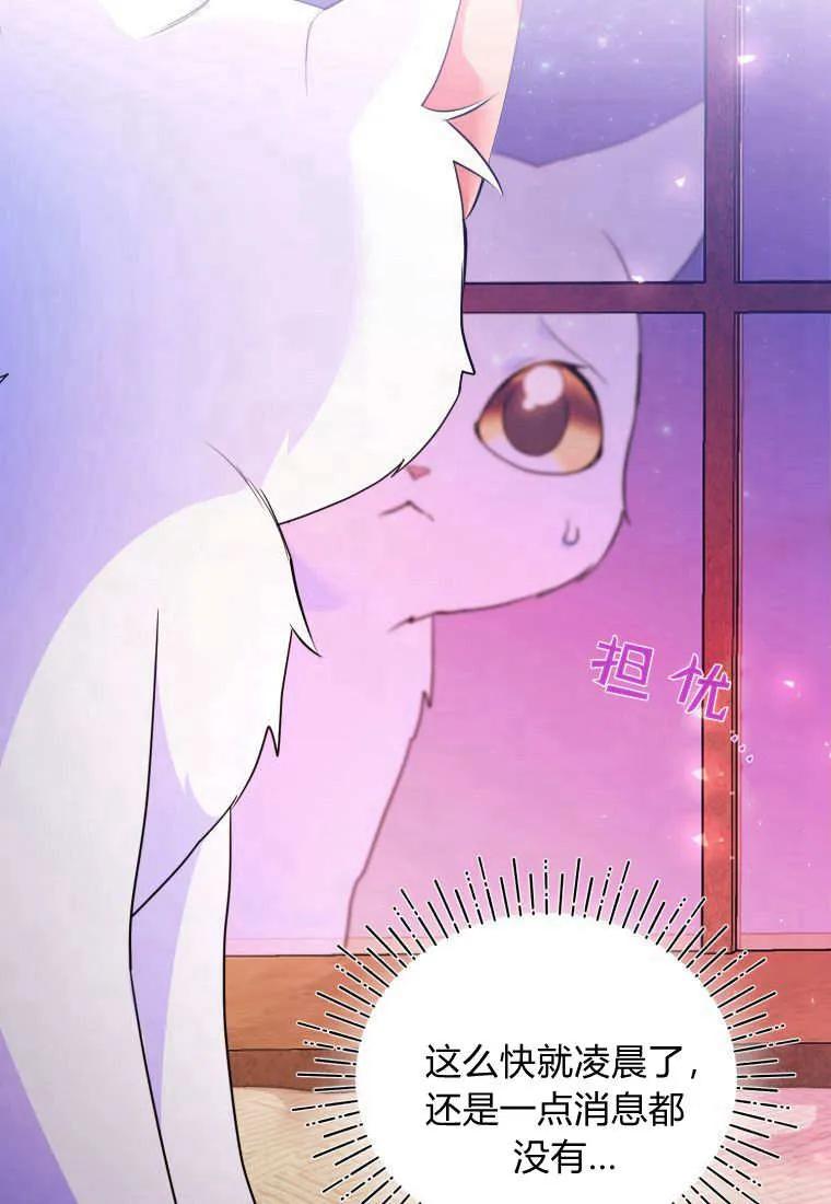 成为苏尔坦珍爱的猫咪 第59话 第12页