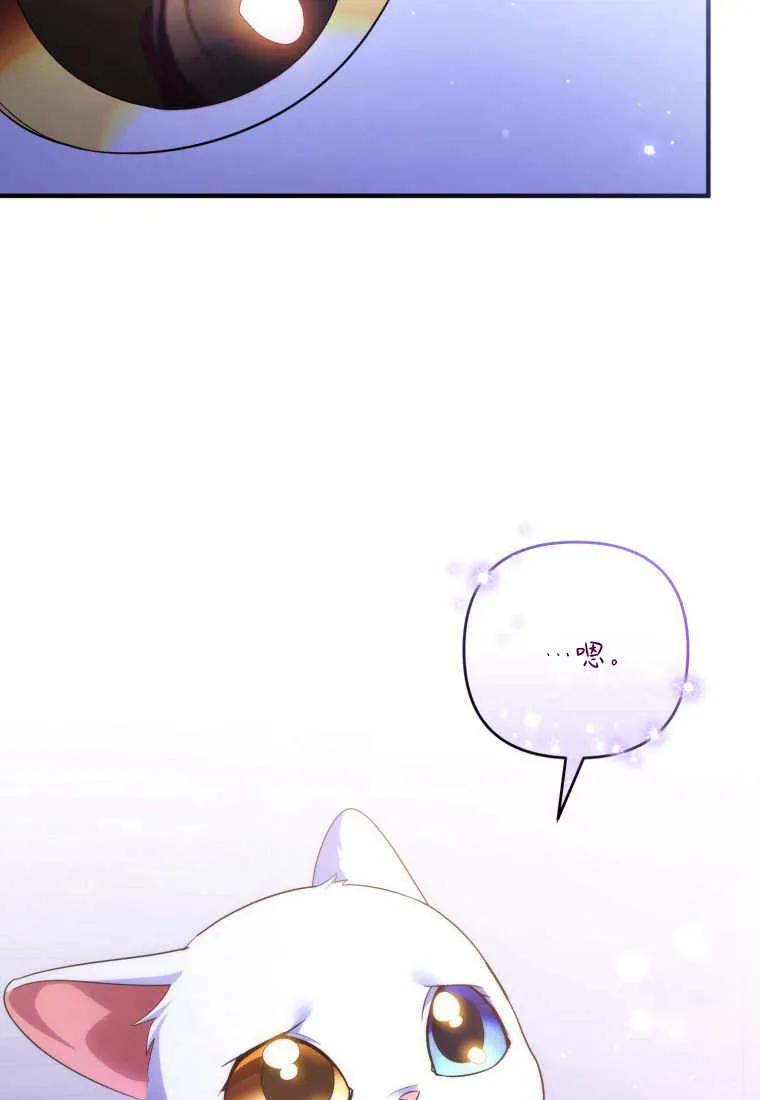 成为苏尔坦珍爱的猫咪 第59话 第30页