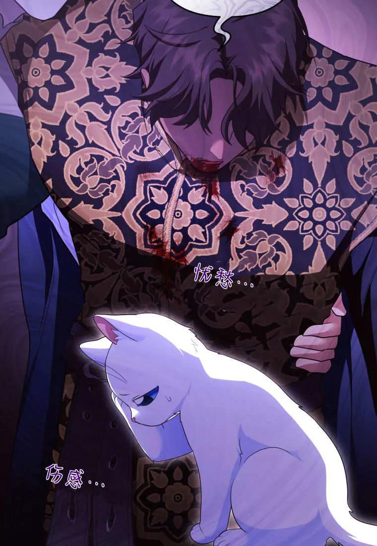 成为苏尔坦珍爱的猫咪 第59话 第24页
