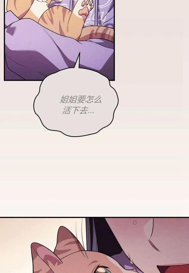 成为苏尔坦珍爱的猫咪 第60话 第39页