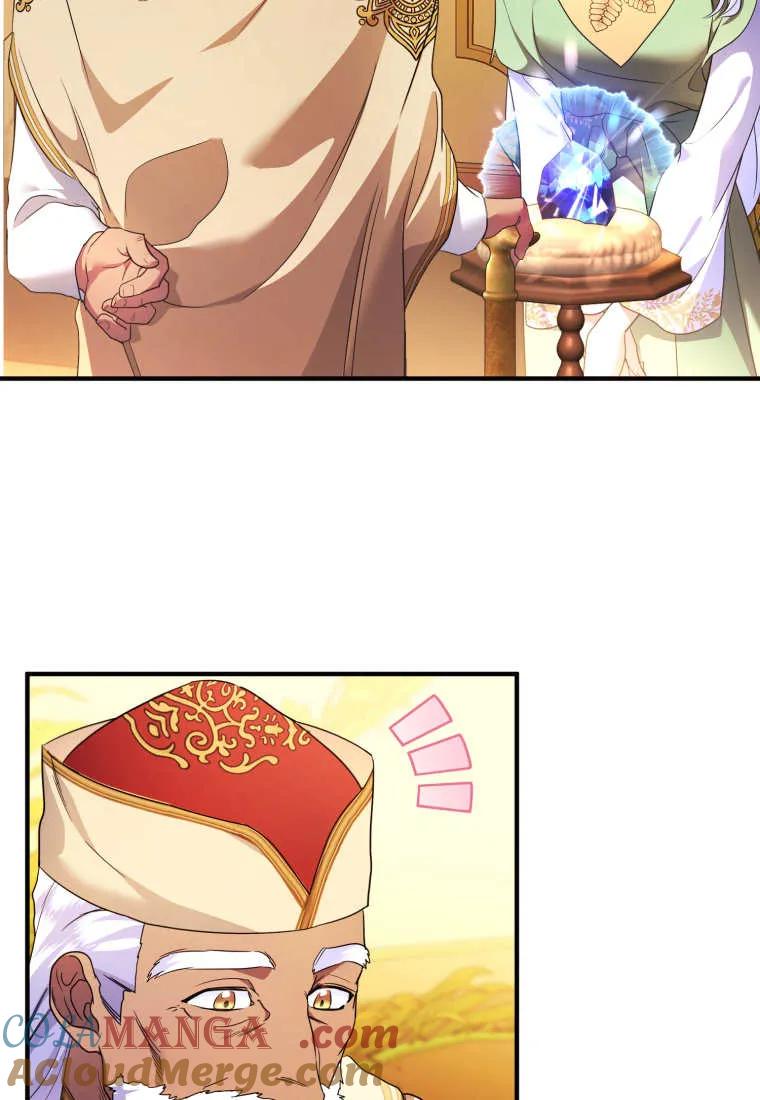 成为苏尔坦珍爱的猫咪 第60话 第64页