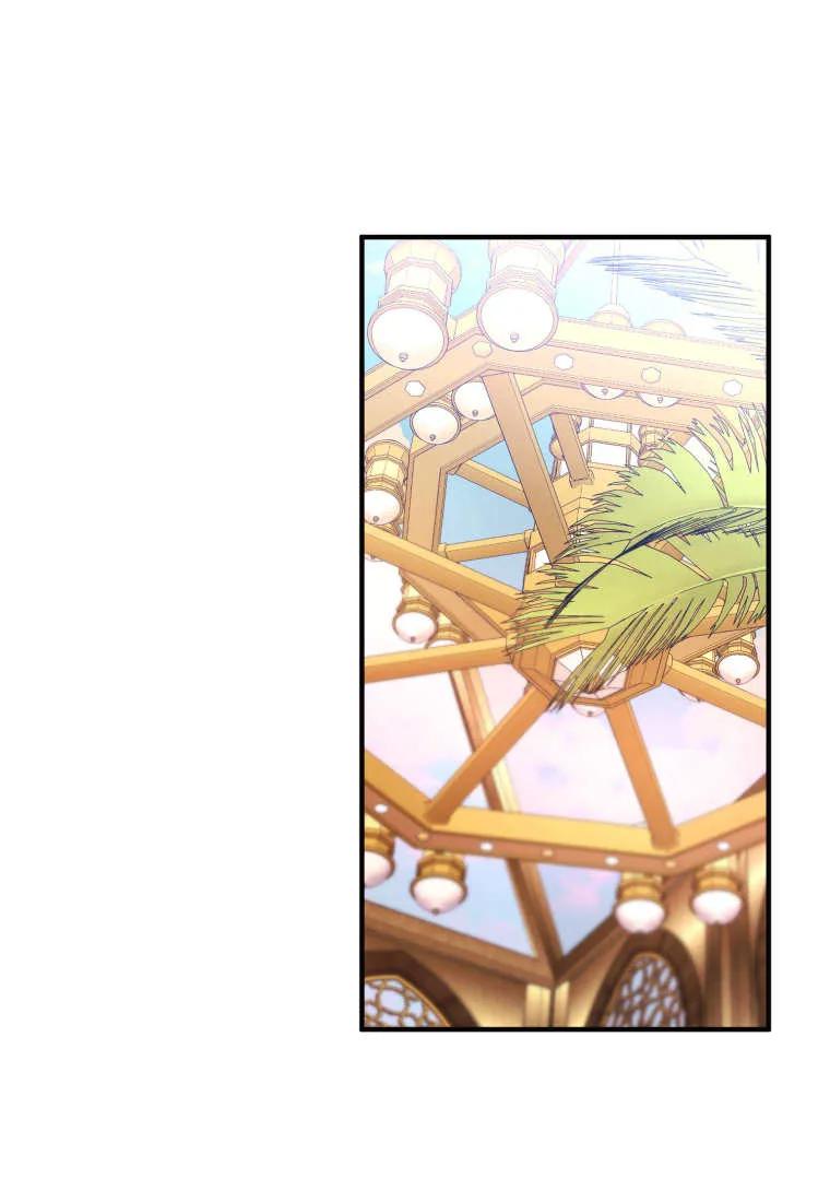 成为苏尔坦珍爱的猫咪 第60话 第32页