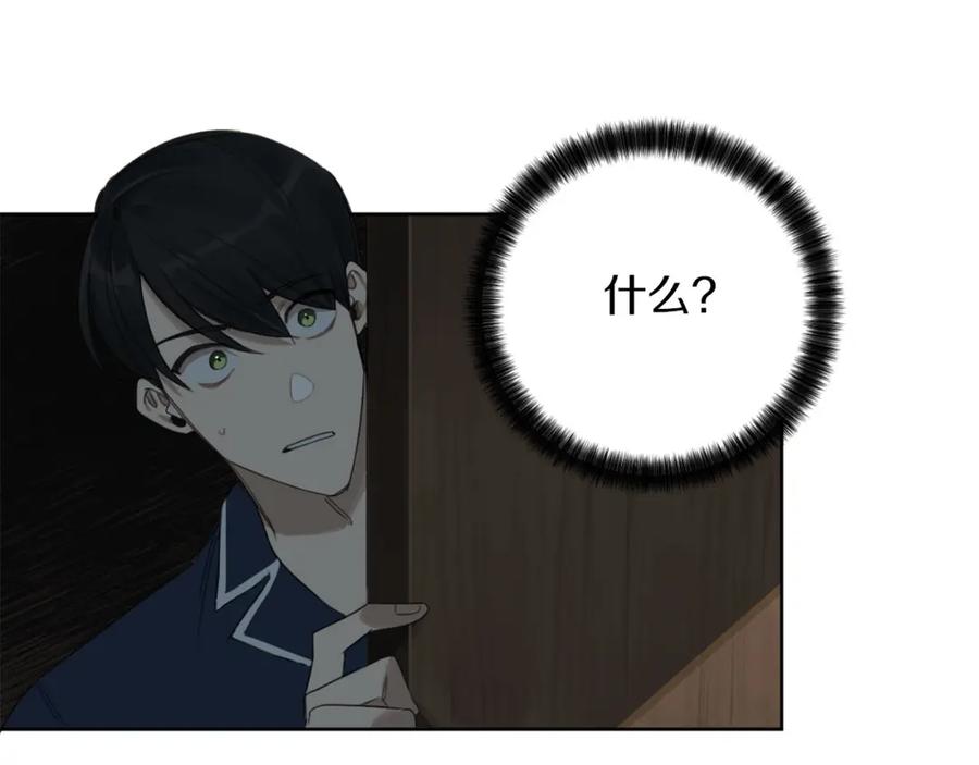 91.jpg