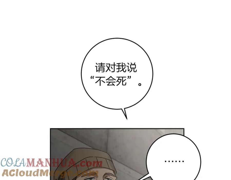 117.jpg
