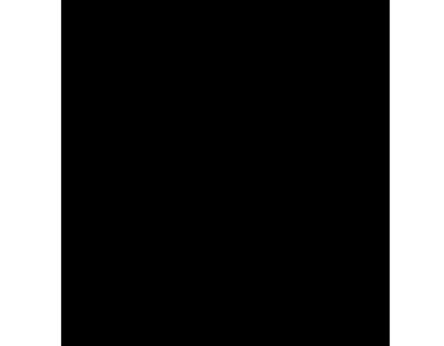 95.jpg