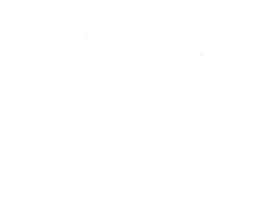142.jpg