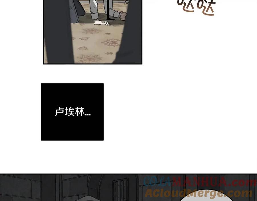 113.jpg