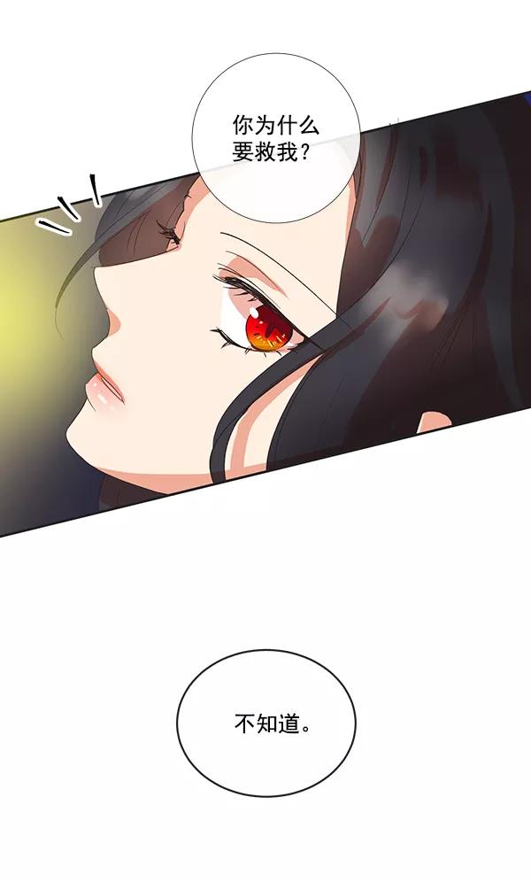 《恶魔的银杏》序章 第15页