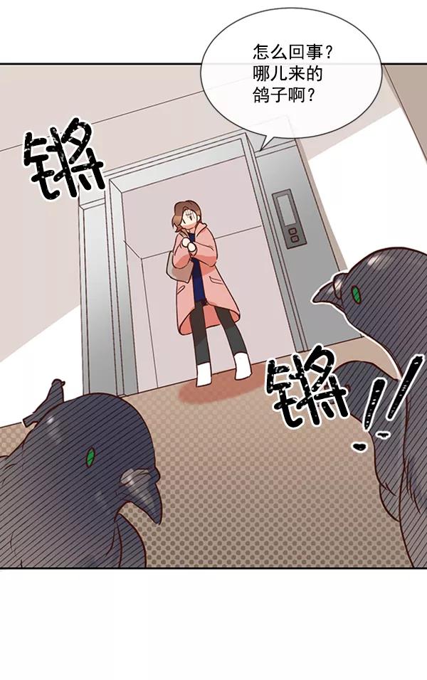 《恶魔的银杏》第31话 第42页