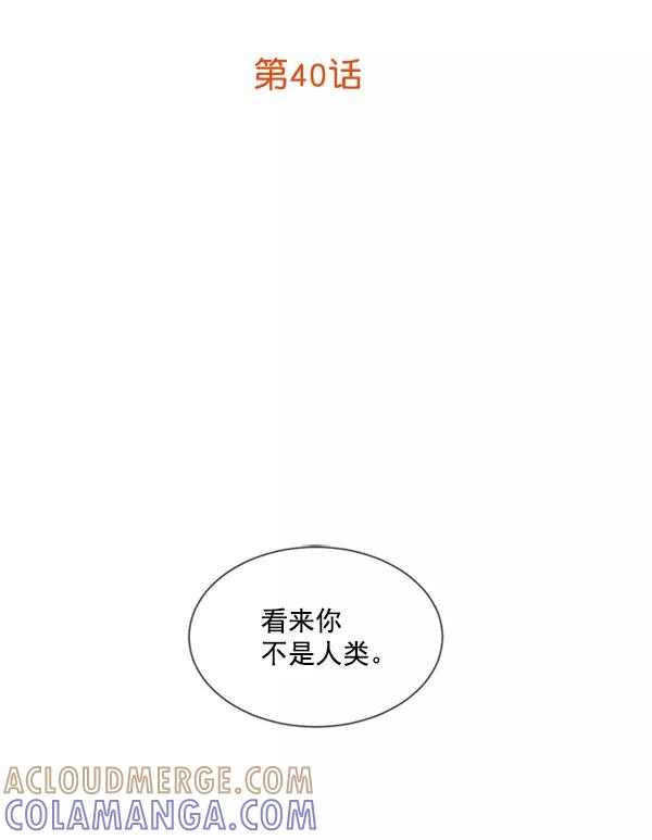 《恶魔的银杏》第40话 第13页