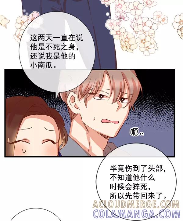 《恶魔的银杏》第6话 第43页