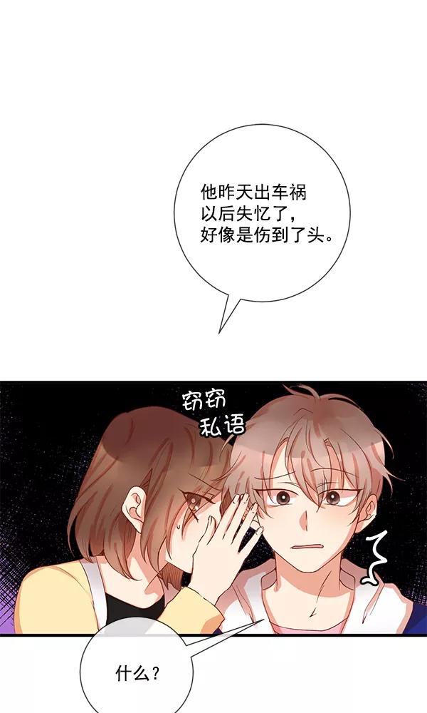 《恶魔的银杏》第6话 第35页