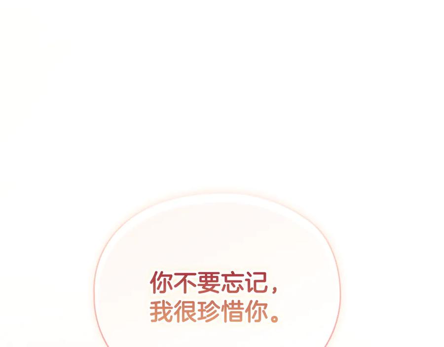 《配角决定成为假替身》第35话 我很珍惜你 第247页