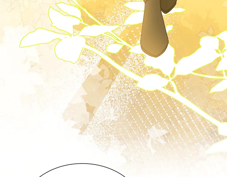 《破茧皇后》番外 第1话 梦里的白猫 第14页