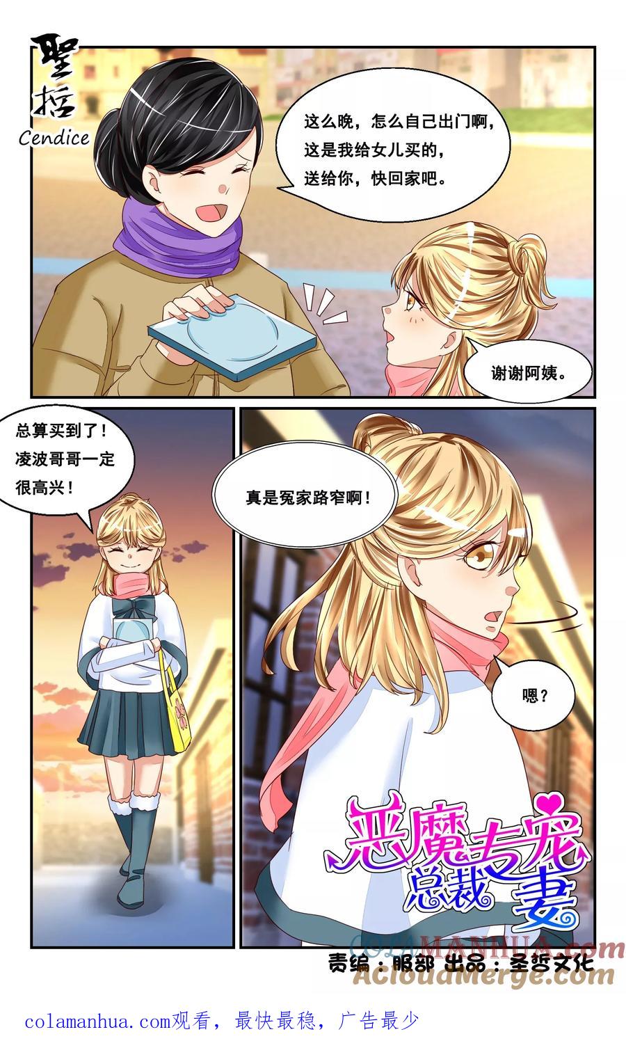 恶魔总裁专宠妻 番外2 第12页