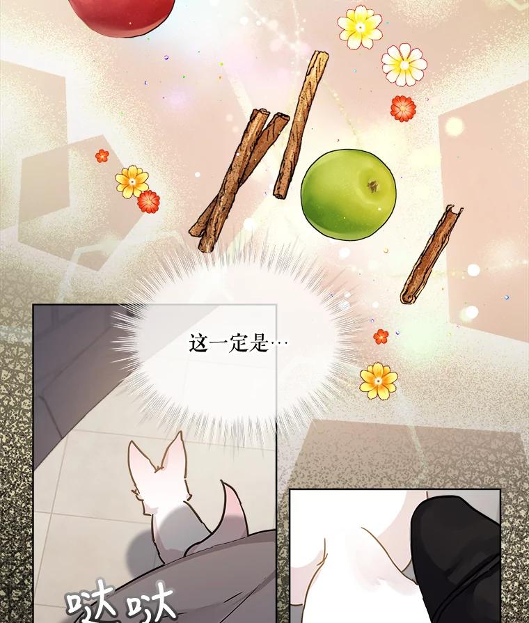 重生为神兽宝宝 - 8.人形化 - 第18张图