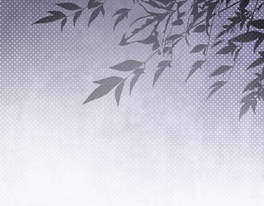 恶女的王座 第227话 只做你的妻子 第32页