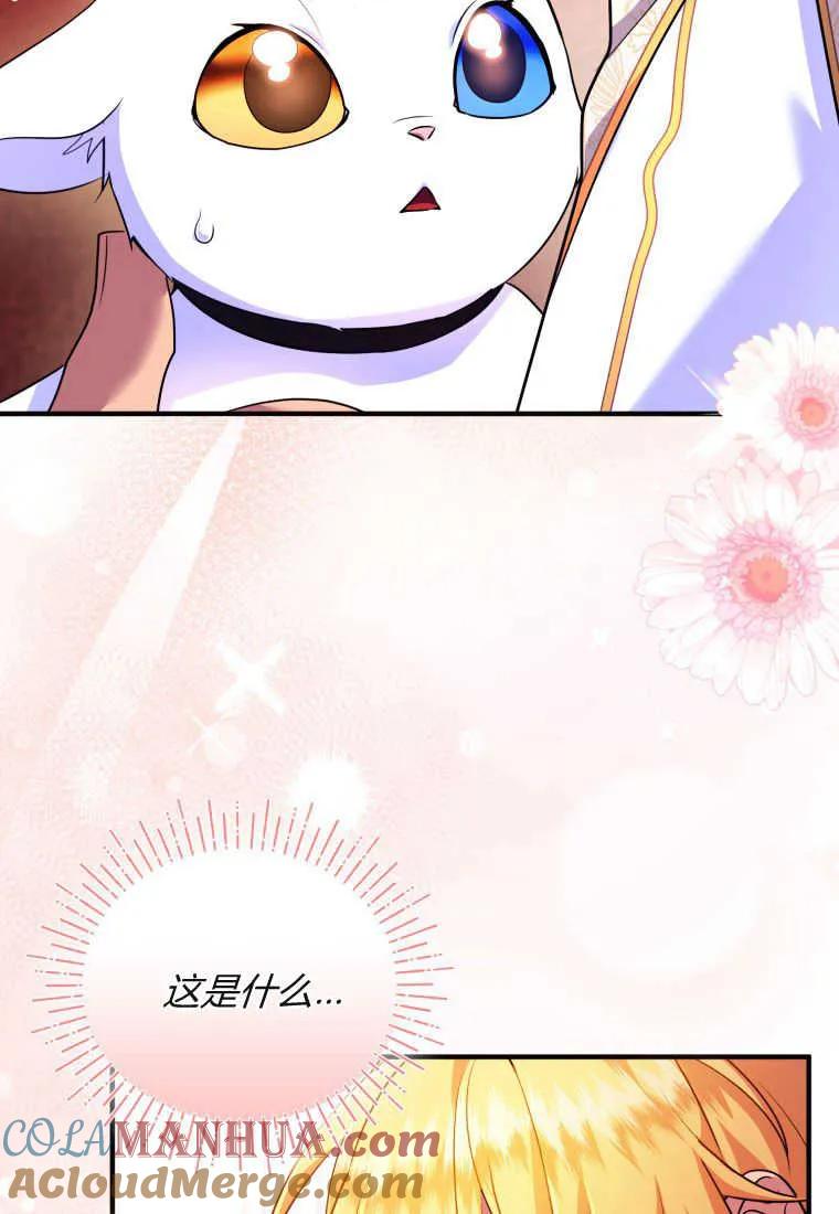 成为苏尔坦珍爱的猫咪 第24话 第85页