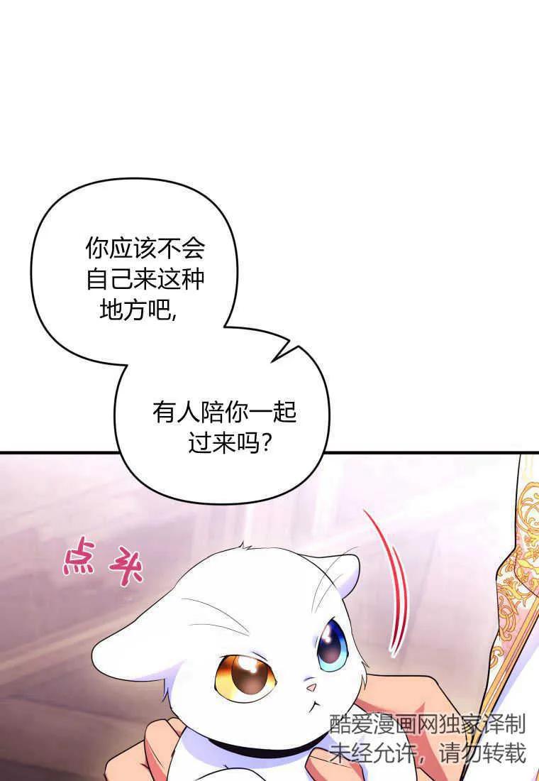 成为苏尔坦珍爱的猫咪 第24话 第59页