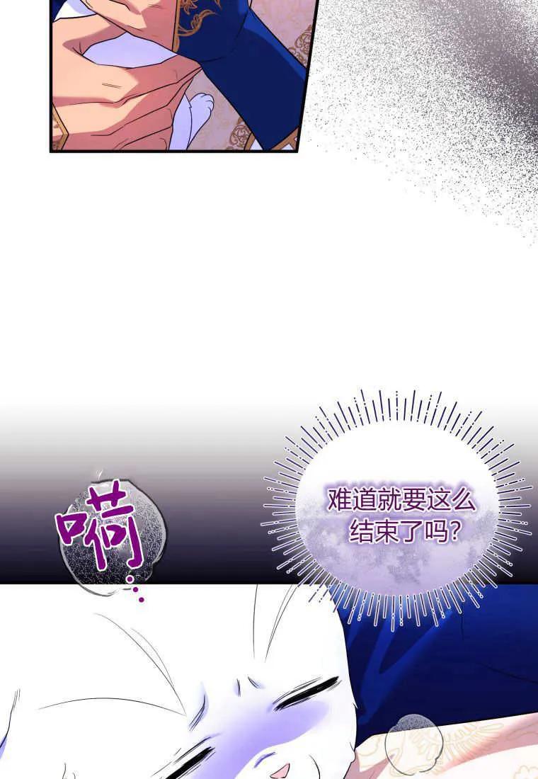 成为苏尔坦珍爱的猫咪 第24话 第96页