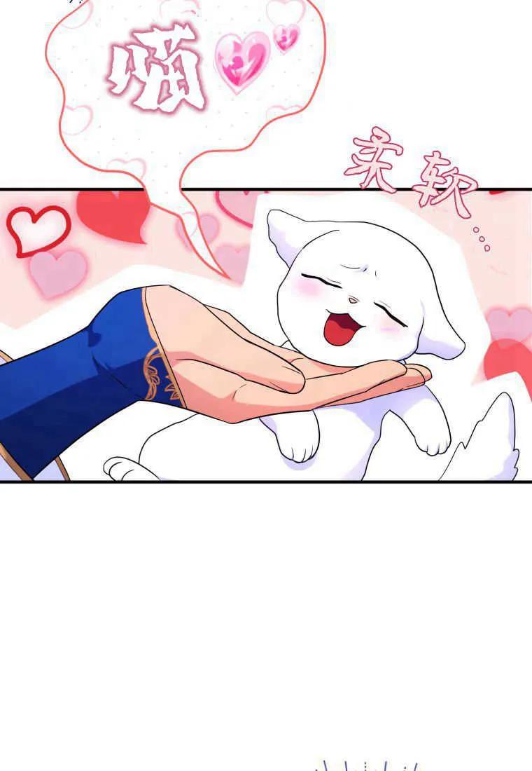成为苏尔坦珍爱的猫咪 第24话 第55页