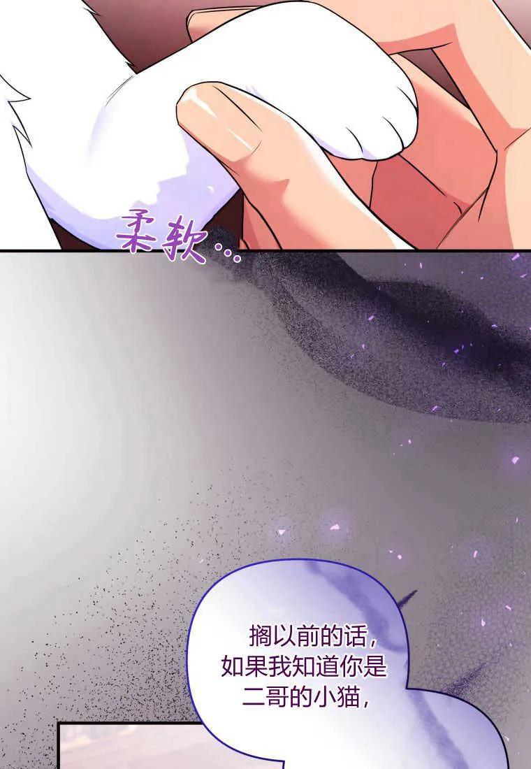 成为苏尔坦珍爱的猫咪 第24话 第68页