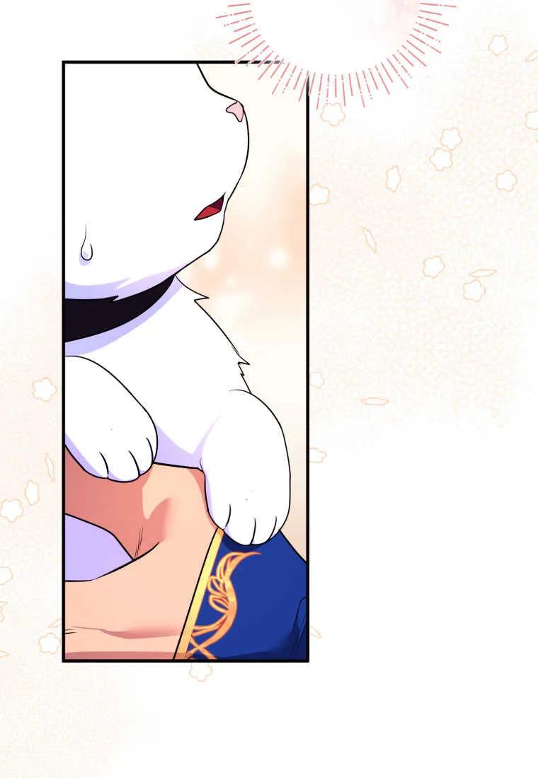成为苏尔坦珍爱的猫咪 第24话 第79页