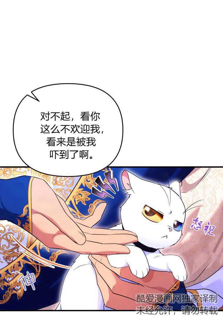 成为苏尔坦珍爱的猫咪 第24话 第52页